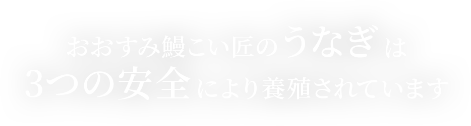 おおすみ鰻こい匠のうなぎは3つの安全により養殖されています